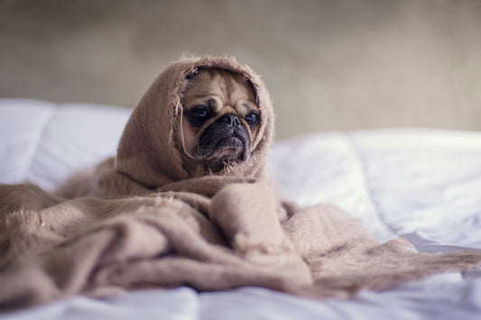 MANAGING OVERSTIMULATION: Practical Tips for Neurodivergent Individuals in Everyday Life
